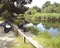 mopley pond