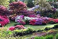 exbury gardens azaleas