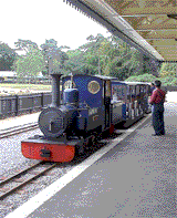 exbury gardens steam train