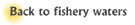 back to fishery waters