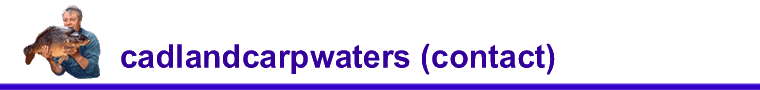 contact page