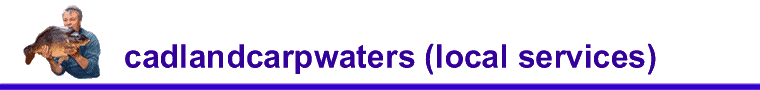 local services